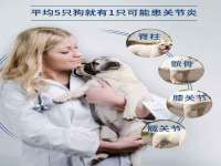 义乌市汀屹电子商务商行