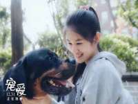 义乌市汀屹电子商务商行