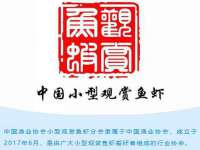 义乌市汀屹电子商务商行