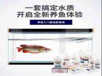 义乌市汀屹电子商务商行