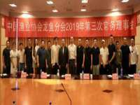 义乌市汀屹电子商务商行