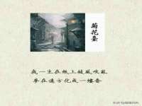 义乌市汀屹电子商务商行