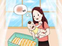 义乌市汀屹电子商务商行