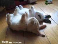 义乌市汀屹电子商务商行