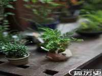 义乌市汀屹电子商务商行