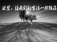 义乌市汀屹电子商务商行