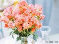 义乌市汀屹电子商务商行