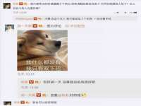 义乌市汀屹电子商务商行