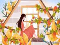义乌市汀屹电子商务商行