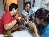 义乌市汀屹电子商务商行