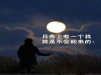 义乌市汀屹电子商务商行