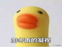 义乌市汀屹电子商务商行