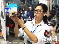 义乌市汀屹电子商务商行