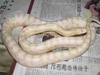 义乌市汀屹电子商务商行