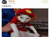 义乌市汀屹电子商务商行