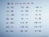 义乌市汀屹电子商务商行